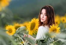 茶仙之境：一杯茶，养生生活新篇章